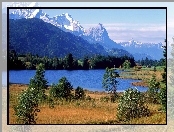 Jezioro, Góry, Drzewa