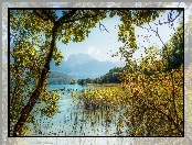 Góry, Drzewa, Jezioro, Trawy