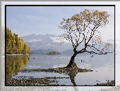 Góry, Drzewo, Jezioro, Samotne