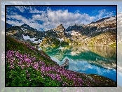 Jezioro, Różowe, Austria, Kwiaty, Góry, Alpy, Weisssee