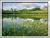 Góry, Trawa, Jezioro, Las