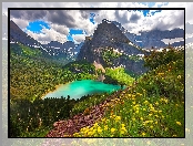 Montana, Park Narodowy Glacier, Jezioro, Chmury, Grinnell Lake, Góry, Drzewa, Las, Kwiaty, Stany Zjednoczone