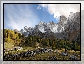 Góry, Dom, Las, Kamienie
