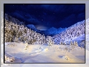 Góry, Noc, Las, Śnieg