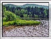 Góry, Szuwary, Las, Jezior