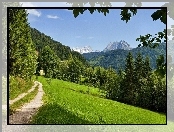 Góry, Zbocze, Las, Ścieżka