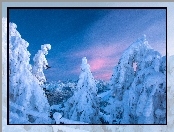 Góry, Zima, Las, Śnieg