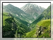Góry, Lasy