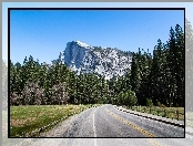 Góry, Park Narodowy Yosemite, Lasy, Droga