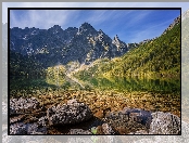 Morskie Oko, Lasy, Polska, Kamienie, Tatry, Jezioro, Góry