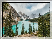 Jezioro, Alberta, Góry, Kanada, Moraine Lake, Lasy, Drzewa, Park Narodowy Banff