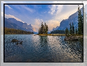 Góry, Drzewa, Kanada, Lasy, Jezioro, Maligne Lake, Park Narodowy Jasper