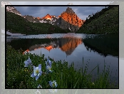 Góry, Jezioro, Stany Zjednoczone, Góra Sneffels, Stan Kolorado, Orlik niebieski, San Juan Mountains, Blue Lake, Łąka, Kwiaty