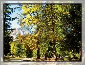 Góry, Ławka, Park, Alejka