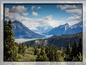 Park Narodowy Kluane, Kanada, Szczyt, Góry, Drzewa, Jukon, Lasy, Masyw, Mount Logan