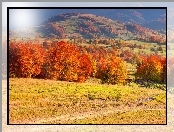 Góry, Jesień, Pola, Drzewa