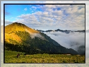 Góry, Fotograf, Mężczyzna, Mgła, Polana, Lasy