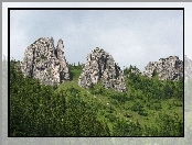Skały, Góry, Las