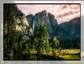 Góry Sierra Nevada, Stan Kalifornia, Stany Zjednoczone, Drzewa, Park Narodowy Yosemite, Wodospad Yosemite