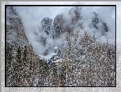 Góry, Park Narodowy Yosemite, Drzewa, Mgła, Stany Zjednoczone, Kalifornia