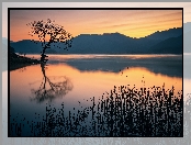 Trawa, Góry, Jezioro, Zachód słońca, Drzewa, Zarośla