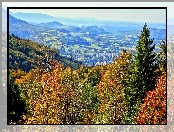 Beskid, Góry, Las, Śląski, W Dolinie, Panorama, Ustronia