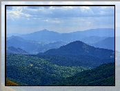 Wzgórza, Góry, Bieszczady, Polska, Góra Tarnica, Lasy