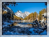 Śnieg, Zima, Jezioro, Góry, Drzewa
