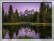 Góry, Park Narodowy Grand Teton, Drzewa, Teton Range, Stany Zjednoczone, Rzeka Snake River, Stan Wyoming, Las, Odbicie