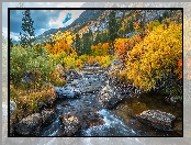 Rzeka, Kalifornia, Jesień, Stany Zjednoczone, Bishop Creek, Drzewa, Krzewy, Góry