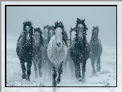 Zima, Grafika AI, Konie, Galop