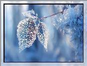 Gałązka, Grafika AI, Zmarznięte, Liście