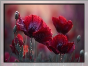 Kwiaty, Grafika AI, Czerwone, Maki