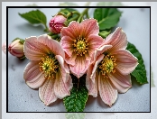 Liście, Grafika AI, Kwiaty, Pręciki