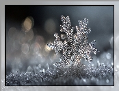 Zima, Grafika AI, Śnieżynka, Śnieg