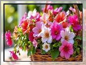 Koszyk, Grafika AI, Kwiaty, Wiklinowy