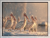 Śnieg, Grafika AI, Pelikany, Zima