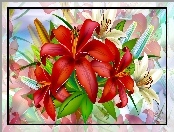 Grafika 2D, Kwiaty, Czerwone, Białe, Lilie