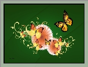 Grafika, Motyle