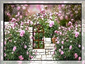 Grafika, Ogród, Róże, Mur, Okno