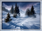 Zamieć, Zima, Świerki, Grafika AI, Drzewa, Zbocze