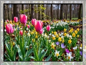 Las, Tulipany, Wiosna, Grafika AI, Kwiaty, Żonkile