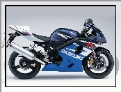 Suzuki GSX-R600