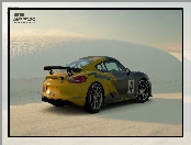 Gra, Porsche Cayman GT4, Gran Turismo Sport
