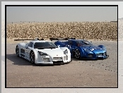Gumpert Apollo, Sztuki, Dwie