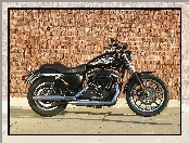 Harley Davidson Sportster XL883R, Paliwa, Bak