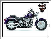 Harley Davidson Fat Boy 2