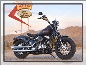 Harley Davidson Softail Cross Bones