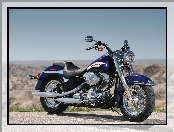 Harley Davidson Softail, Reflektor