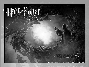 Film, Harry Potter